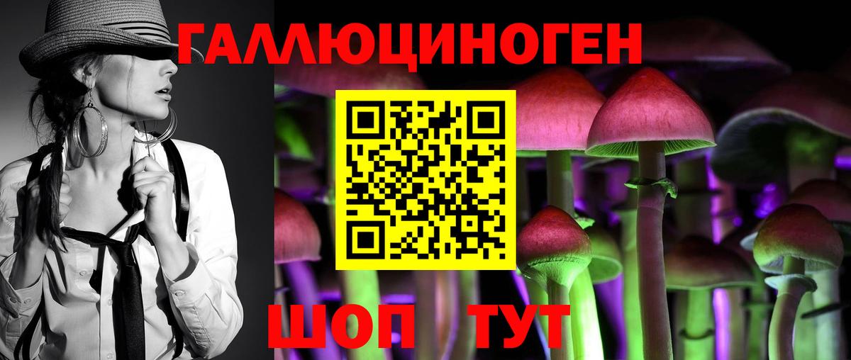 Галлюциногенные грибы Cubensis  Вход с VPN  Псилоцибиновые грибы мицелий  как найти закладки  Курган 
